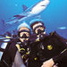 Nassau Shark Adventure
