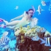 Snorkel Bahamas Adventure
