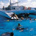 Grand Cayman Stingray City Snorkel Lunch Sail, Georgetown, from Viator.com