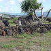Sacred Hawaiian Spirits Morning Tour, Oahu, from Viator.com