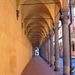 Bologna's Porticoes Private Walking Tour
