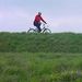Private Bologna Cycling Sightseeing Tour
