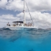 Leeward Coast Dolphin Snorkel Sail
