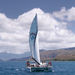 Leeward Coast Leid Back Private Yacht Sail
