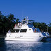 Leeward Scuba Dive

