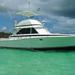 Deep Sea Fishing from Punta Cana, Punta Cana, from Viator.com