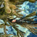 PADI Discover Scuba Diving Playa Del Carmen
