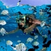 Cozumel Round Trip Airport Transfers
