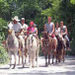 Horseback Riding from Riviera Maya
