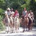 Horseback Riding from Riviera Maya