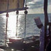Lobster Dinner Cruise departing Cozumel
