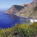 2 Day California Coast Tour: Los Angeles to San Francisco