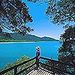 Cape Tribulation, Port Douglas, Mossman Gorge and Daintree Rainforest Safari
