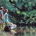 Daintree Rainforest, Cape Tribulation and Rainforest Habitat Wildlife Sanctuary Day Tour