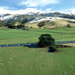5% Off New Zealand North and South Island Trip from Christchurch 