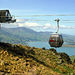 Christchurch City Sightseeing - Must See Four
