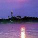 St Augustine Sunset Helicopter Tour
