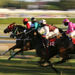 Melbourne Spring Racing Carnival - Race Day Cruising Package
