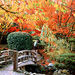 Victoria Fly n Dine at Butchart Gardens

