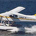 Victoria Panorama Seaplane Tour
