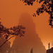 Tikal Maya Ruins Explorer from Antigua, Antigua, from Viator.com