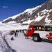 Columbia Icefield Tour from Jasper
