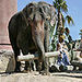 Combined Ticket for Terra Natura Park and Aqua Natura Park