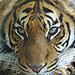 Terra Natura Park - Benidorm's Natural World Theme Park