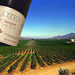 Baja Wine Tour
