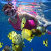 Na Pali Kauai Snorkel Expedition, Kauai, from Viator.com