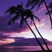 Round-trip Maui Airport Transfer, Maui, from Viator.com