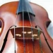 Private Music Tour of Florence including Accademia Gallery
