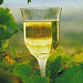 2-Day Margaret River Wine Experience Tour from Perth
