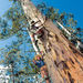 3 day Tree Top Walk and Margaret River Tour from Perth, Perth, from Viator.com