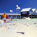 4 day Albany, Tree Top Walk and Margaret River Tour from Perth, Perth, from Viator.com