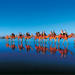 Broome Half-Day Tour with Optional Cable Beach Sunset Camel Ride