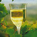 Margaret River 2-Day Wine Experience Tour from Perth
