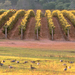 Margaret River, Caves, Wine and Cape Leeuwin Lighthouse Tour from Perth
