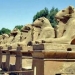 Private Overnight Tour: Luxor

