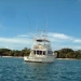 Red Sea Dolphin Glass Bottom Boat Cruise, Hurghada, from Viator.com