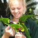 Bird Kingdom - All Day Admission Ticket, Niagara Falls, from Viator.com