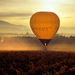 Sunrise Breakfast Balloon Flight over the Yarra Valley, Melbourne, from Viator.com