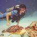 PADI Certified Scuba Diving in Cozumel
