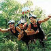 Cairns Minjin Jungle Swing, Cairns, from Viator.com