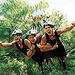 Cairns Minjin Jungle Swing