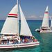 Snorkeling Tour and Cozumel Beach Party
