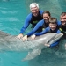 Swim with Dolphins at Miami SeaQuarium
