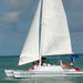 Shipwreck Snorkel and Wild Dolphin Encounter
