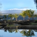 Big Island's Aloha Special
