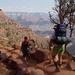 Secret Desert Oasis Hike, Grand Canyon National Park, from Viator.com